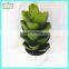 19cm high quality real touch artificial succulent plants tropical plants