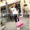 2014 Designer Quality PVC Pet Dog Bag