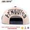 wholesale trendy snapback trucker hat