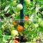 factory supply tomato spiral support