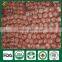 Shiitake Mushroom Compost,Cancer Cure Mushroom,Frozen Shiitake