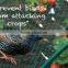 Anti-birds Netting|fence |nets
