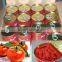 Pure raw materials 210g can tomato puree 28~30 export to africa