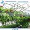 Film High Quality Anti-UV Stronge Frame Greenhouse