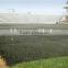 mat grass grid/3D grass grid/3D erosion control mat