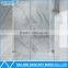 10mm Glass Square Pivot Shower Door with High Quality French Design