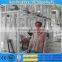 c maize milling machinery