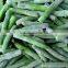 New crops IQF Frozen long beans cut