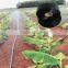 garden irrigation tube with holes