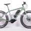 250W Fat Tire Ebike Electric Bicycle(HJ-M21)