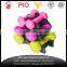 20lb PVC Neoprene Colorful Dumbbell for Amazon