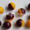 Paintball Balls/Gun Paintball From Shijiazhuang Supplier