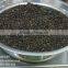 BLACK PEPPER 580G/L - 600G/L (SKYPE: VISIMEX09)