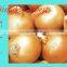 Yellow Fresh Onion