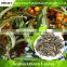 Seabuckthorn tea of nervous breakdown gastrointestinal discomfort constipation