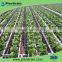 Drip irrigation Bend Arrow dripper