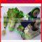 strapper package equipment supermarket vegetable tool use