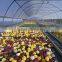 Anti-fog and UV-protection garden greenhouse,fiberglass greenhouse covering,commercial hothouses