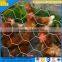 Plant protection guard hexagonal wire mesh,hexagonal planting mesh screen