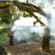 Fumigation insect fogger formosquito fogger (five years engine guarantee)