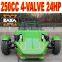 Recumbent Trike 250cc EEC