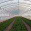 tunnel greenhouse
