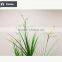 45 / 55 /65 Inch Nearly Nature Artificial Bonsai Grass Potted Scallop Grass with Orchid Flowers Fake Pots Plant