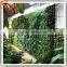 New design decription vertical mini garden green wall guangzhou manufacturers