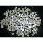 Trochus shell button blank