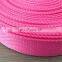 High Quality pp Webbing/ Luggage Belt