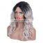 mink hair Lace Front Wig remy human hair wig lace