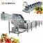 Industrial Fruit Vegetable Air Bubble Cleaning  Cucumber Leek Washer Tomato Strawberry Cassava Washing Machine