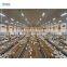 industrial design modern automatic chicken house with door poultry shed farm