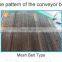 Automatic Vegetable Cleaning Machine Disinfection Fruit Apple Avocado Lemongrass Washing Machine