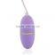 2016 High Quality OEM Service Lovely Purple Waterproof Remote Control Eggs for Women
