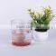 High Quality Thick Bottom coloured CLEAR glass tumbler with pattern