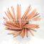 Top quality mini promotional wooden canister art park color pencil set