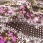 chiffon dresses cheap polyester fabric by shaoxing professional supplier