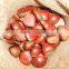 2016 Chinese chestnut new harvest Chinese fresh chestnut