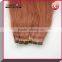 High grade Brazilian virgin hair wholesale Tape-in hair extension pu skin weft seamless hair extension