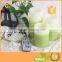 Home Decoration Multicolor LED Candles with Remote Control and Timer Set of 3 Votive Candles