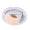10W super high quality Aluminum IP rate gypsum light,gypsum ceiling lamps, gypsum ceiling lamps