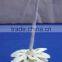 Sola flower