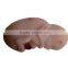 Fetal pregnancy development process model pregnancy fetal model pregnancy fetal toy can be customized