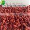 certified organic goji berry