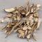 100 pure natural grassleaf sweelflag rhizome herb oil