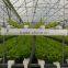 Urban farming and smart growing system for hydroponics and aeroponics