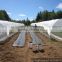30-200mic greenhouse covered film for vegetable