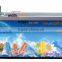Automatic Ice Lolly/ice Pop Beverage Sealing Packing Machine
