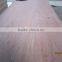 12mm bintangor face Commercial Plywood